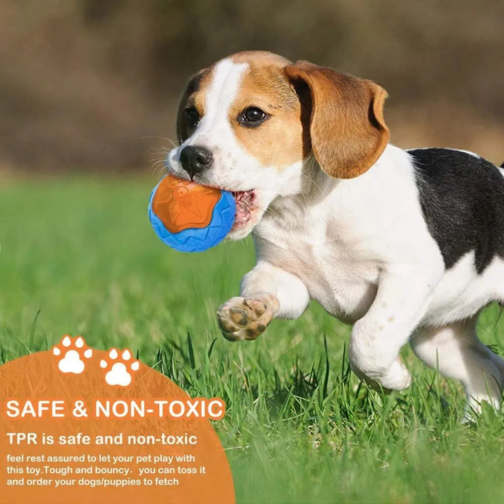 Set of three TPR dog toys: a squeaky ball, barbell, and tyre with bumpy texture for fetch and water play.