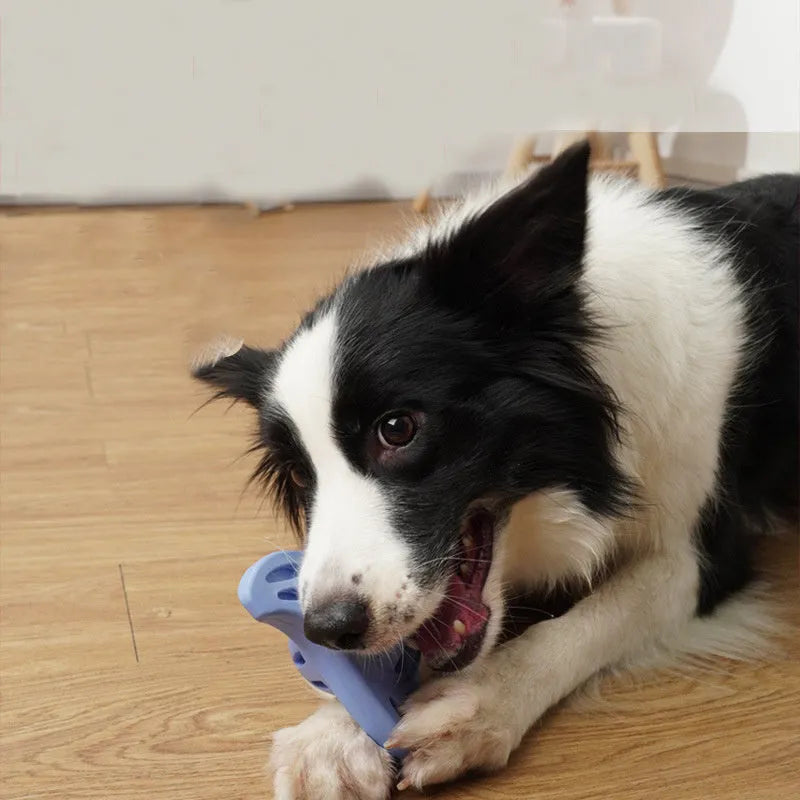Blue bite-resistant boomerang dog toy with molar texture for large breed chewing.