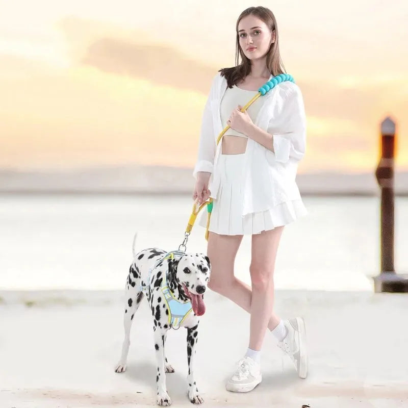 140cm nylon dog leash with anti-slip foam handle in four colour options