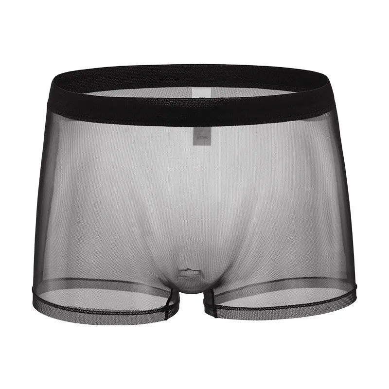 Men's low waist mesh boxer briefs in sheer polyester fabric on a colour swatch background.