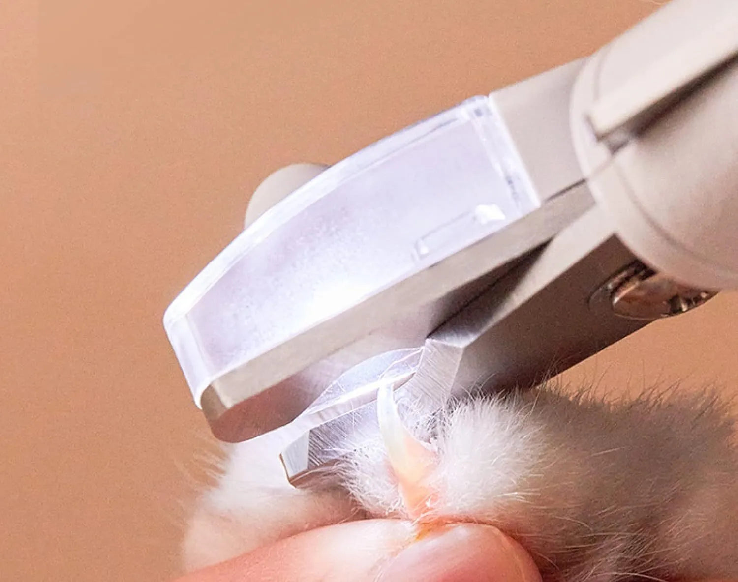 White pet nail clipper with LED light, transparent anti-splash guard, and leather-like handle