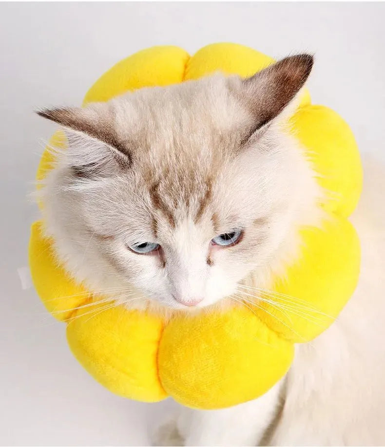 Soft white cotton pet protective collar for cats and dogs on a table, showing adjustable band and inner ring.