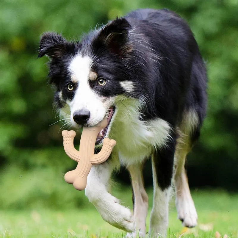 Beige, blue, or purple cactus-shaped dog chew toy made from bamboo fibre and rubber.