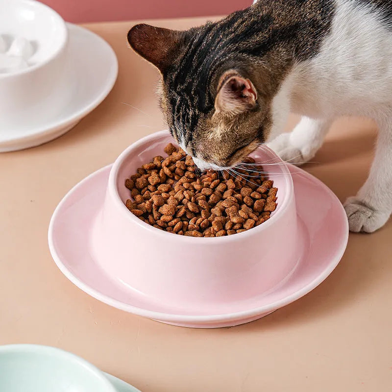 Green ceramic slow feed pet bowl with a central mound and obstacles to prevent fast eating.