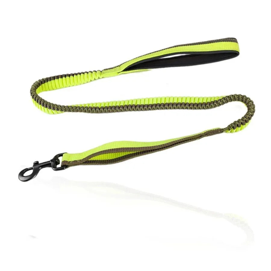 Heavy-duty elastic shock-resistant dog leash for medium and large breeds in multiple colours