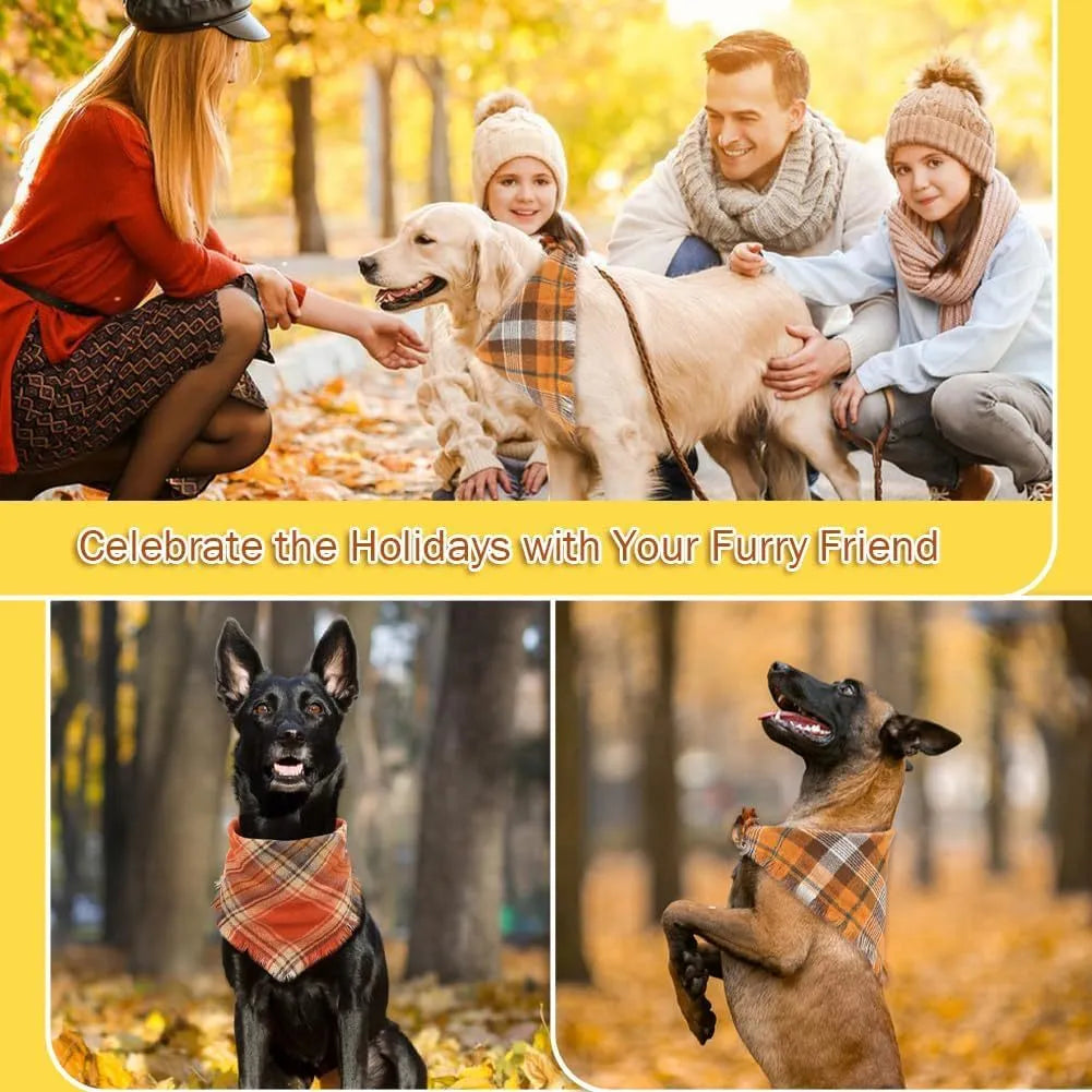 Plaid pattern dog bandana with tassels in autumn colours on pet collar