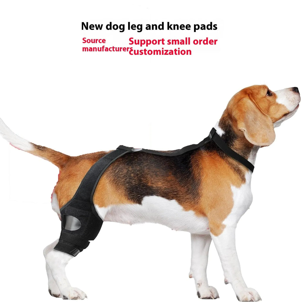 Dog hind leg knee brace assist strap in neoprene fabric showing adjustable design