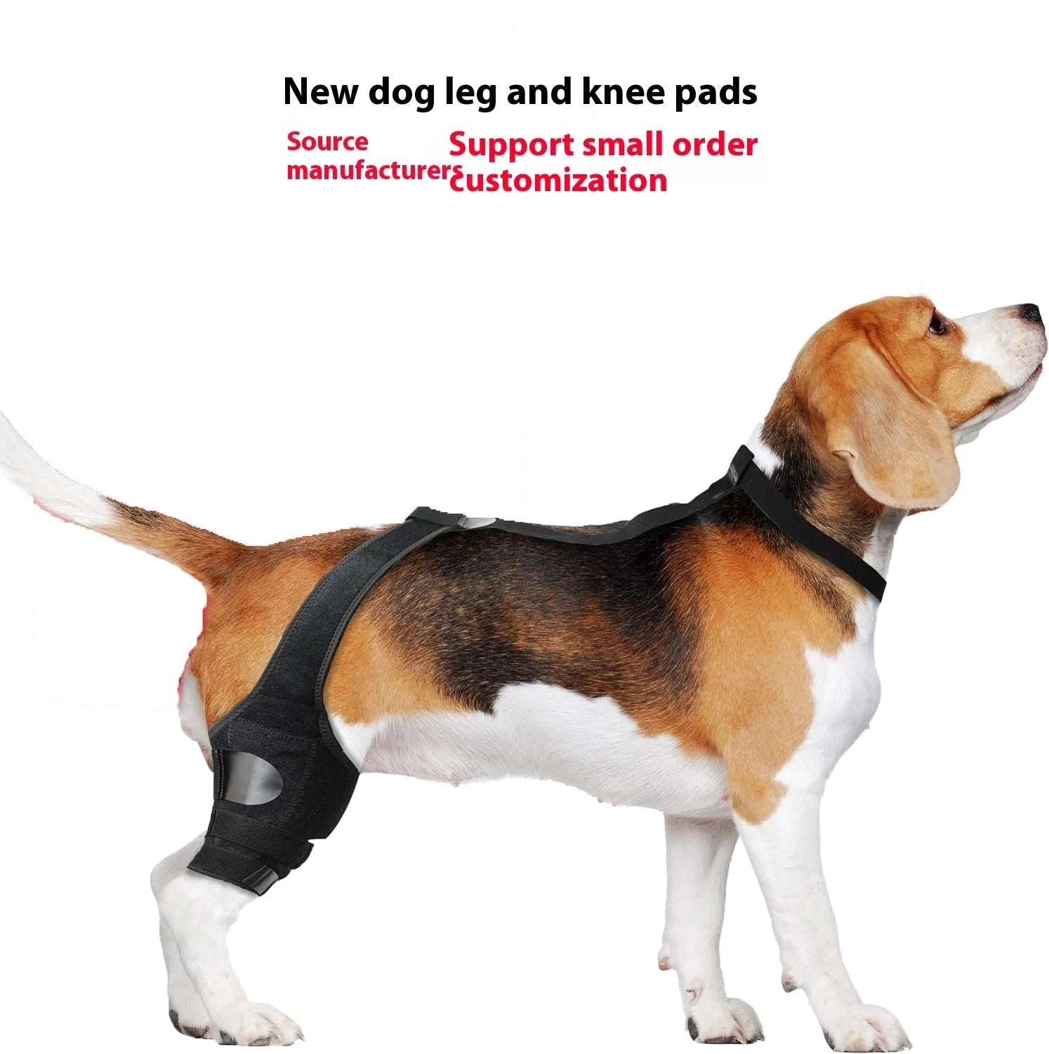 Dog hind leg knee brace assist strap in neoprene fabric showing adjustable design