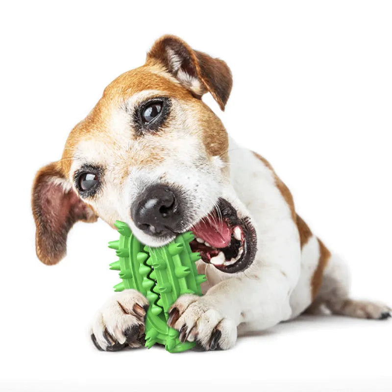 Green cactus-shaped dog chew toy for dental care, shown next to a dog treat.