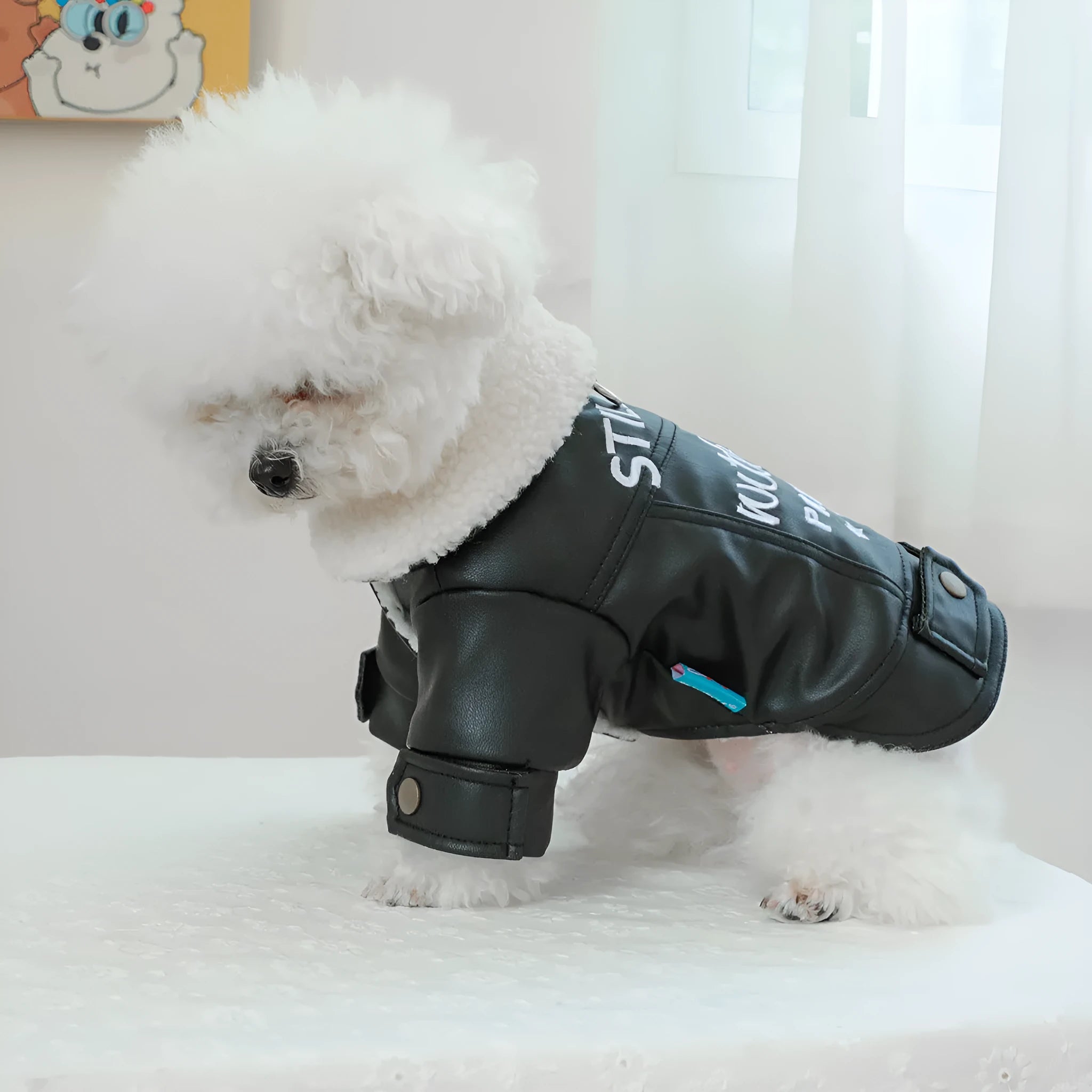 Fleece-lined padded dog coat on a hanger, shown in beige colour with size tag visible.