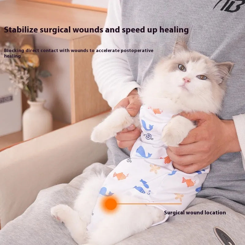 Cat wearing a blue printed post-operative recovery suit with Velcro fastenings after sterilisation surgery.