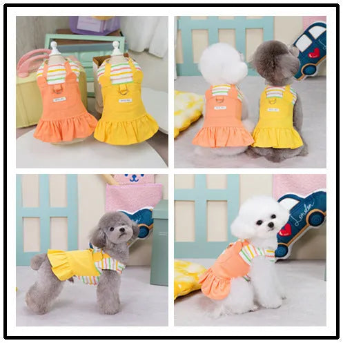 Orange and yellow striped patchwork cotton skirt for dogs in sizes S to XXL