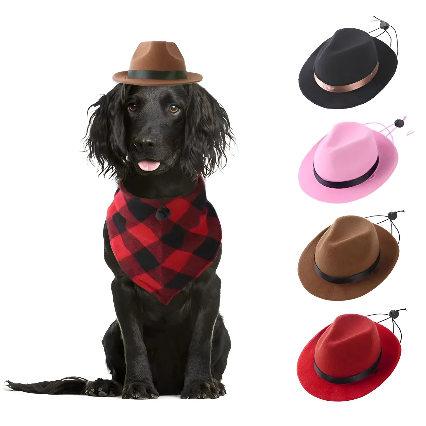 S size 15.5cm diameter wool felt mini pet hat for small dogs and cats in choice of colours