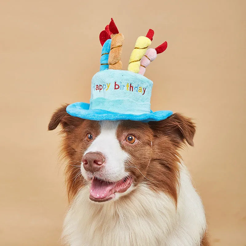 Blue and pink toy dog birthday hat measuring 21cm tall.