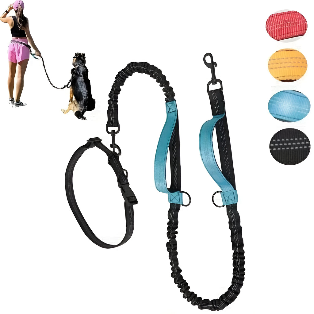 Hands-free dog leash with adjustable waist belt in durable nylon material for running and walking with dogs