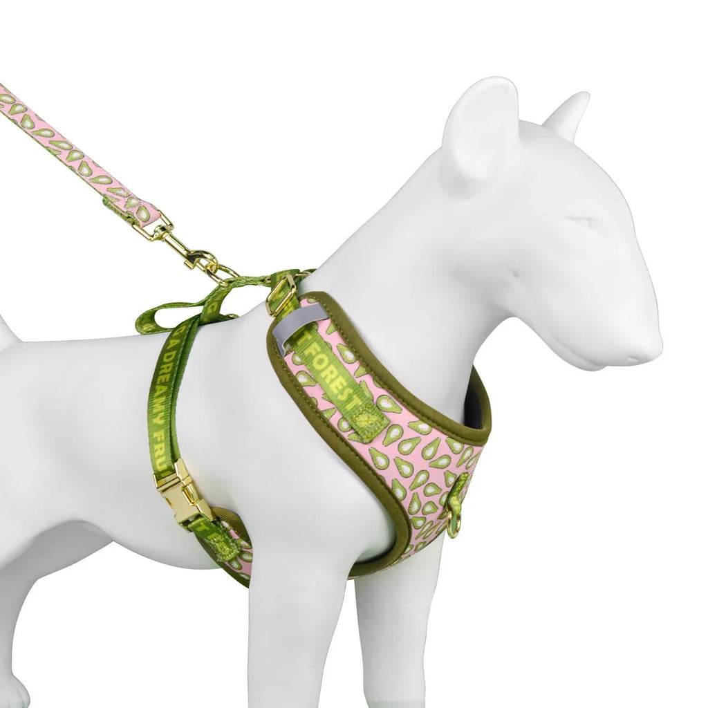 Pet harness and leash set with six colour patterns for medium and large dogs