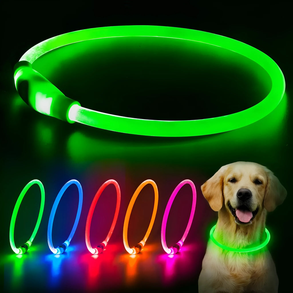 Blue USB rechargeable LED dog safety collar glowing with adjustable 70cm TPU band