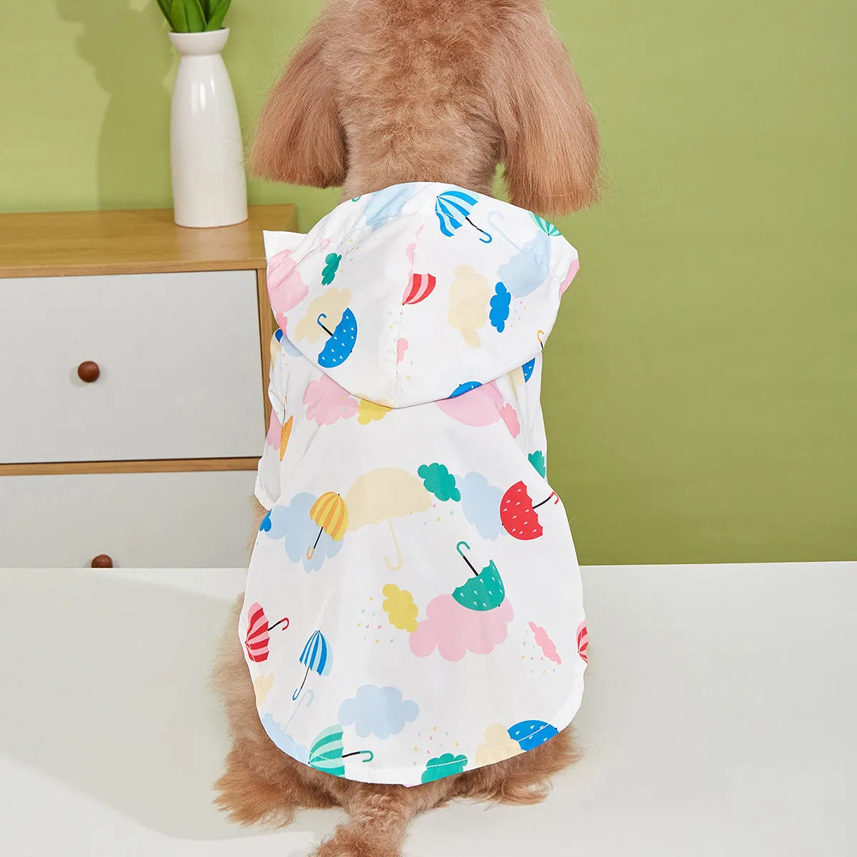Colourful cartoon umbrella pattern polyester dog raincoat laid flat showing full design