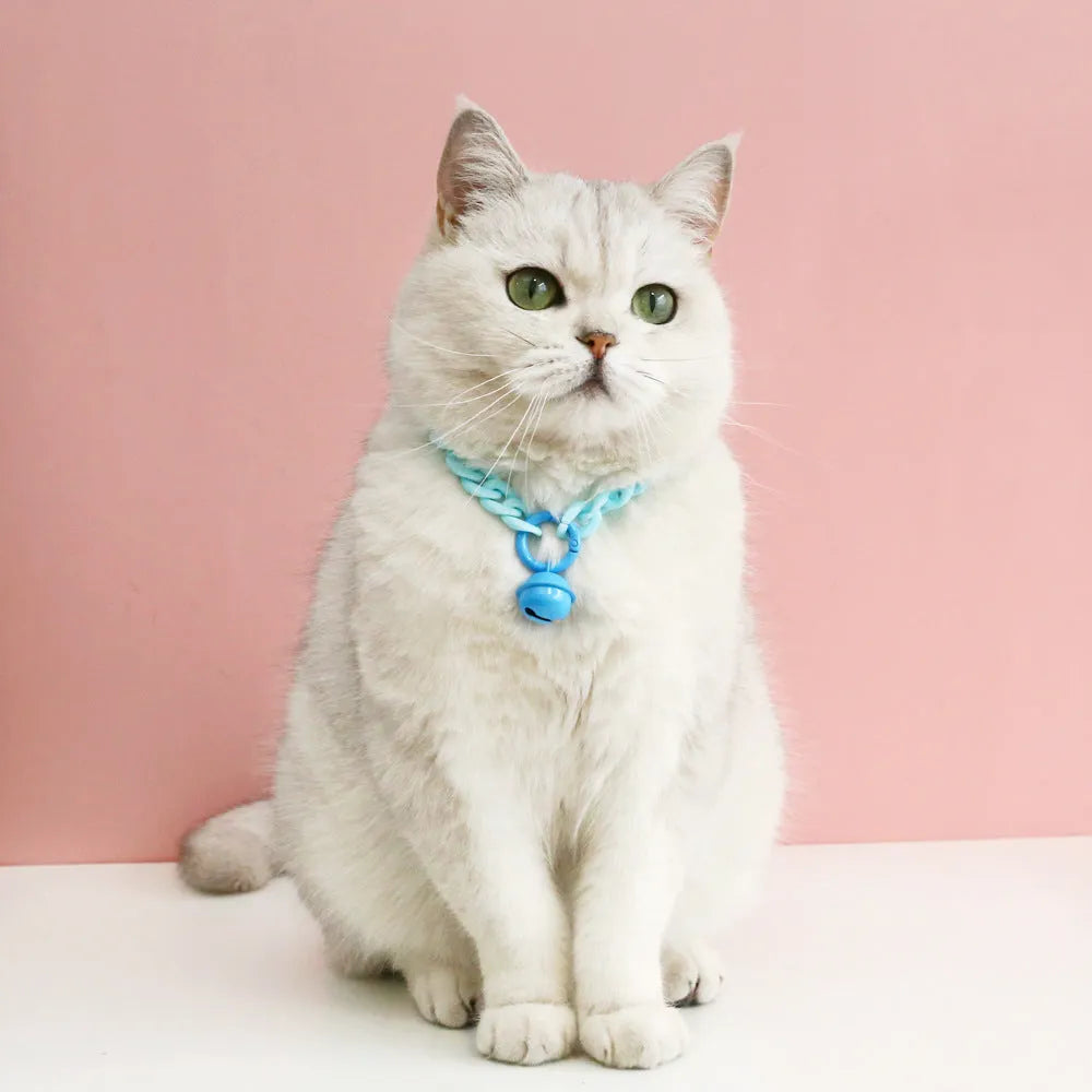Macaron candy colour plastic collar for pet dog cat rabbit on a blue background.