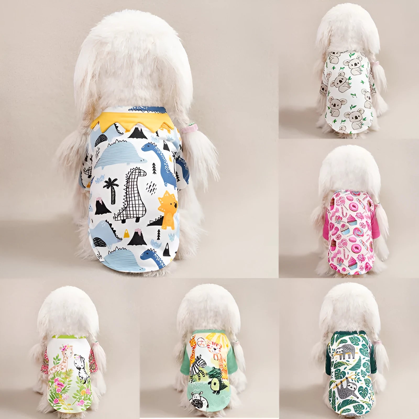 Colourful printed dog t-shirt on a small dog, showing the casual fit and full graphic design.
