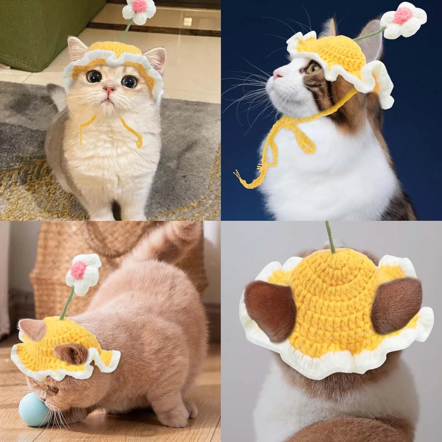 Knitted cartoon-style hat for a cat or small dog on a green background