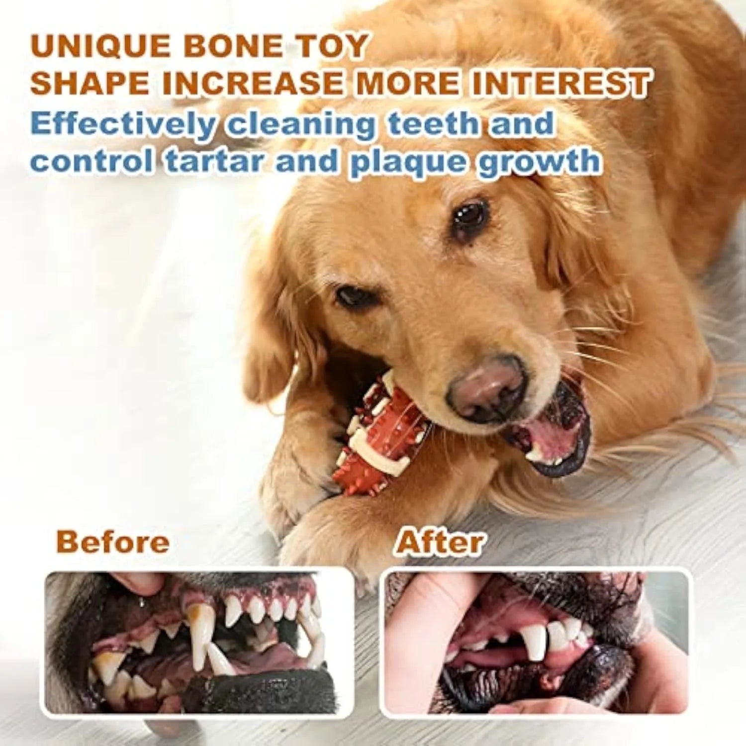 Natural rubber bone-shaped dog molar chew toy for teeth grinding in two size options