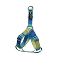 Gradient colour nylon dog leash set with collar and harness options for small medium dogs.