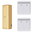 Wireless voice control light switch with remote and USB charging in gold or white finish