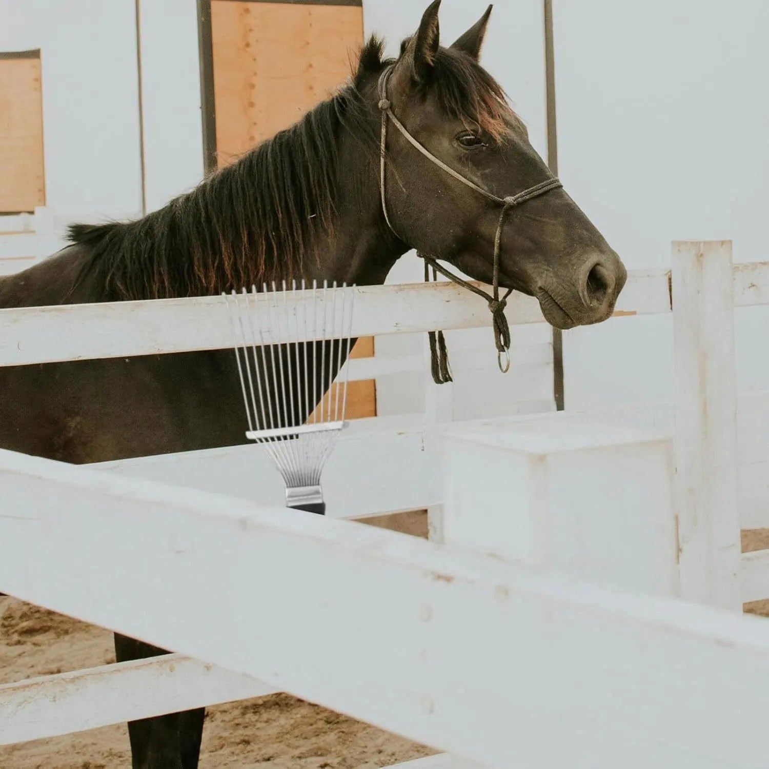Black stainless steel grooming rake comb for horses and dogs measuring 33cm