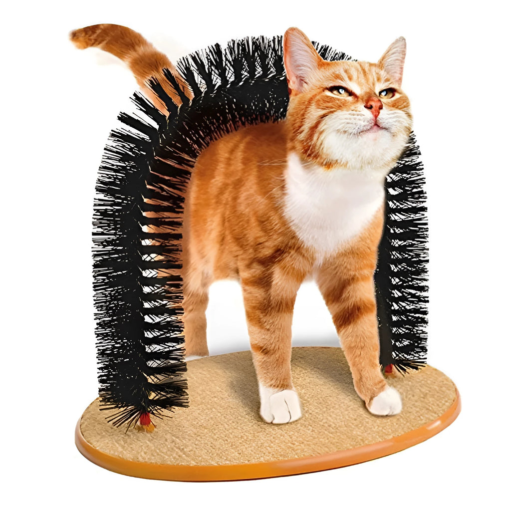 White and grey plastic cat grooming arch scratcher with built-in brush and catnip groove.