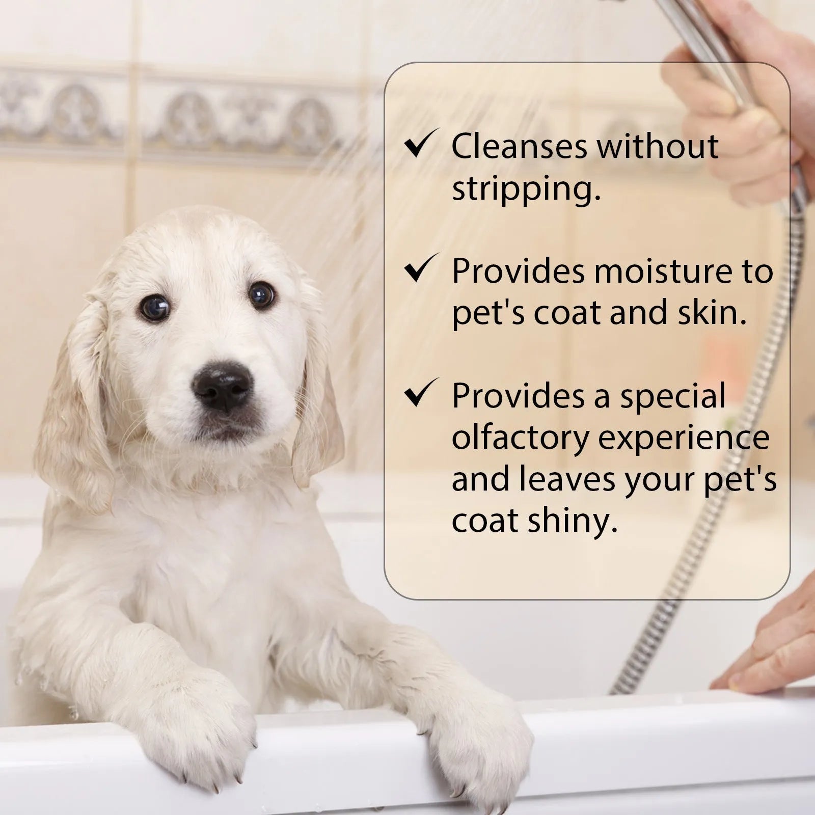 Pet shampoo bottle for dogs and cats with mild formula for soft, unknotted hair