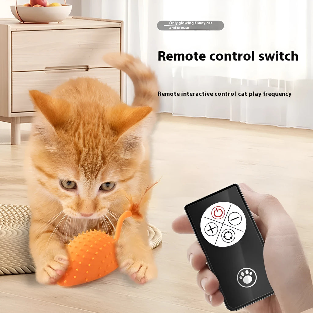 Remote control silicone mouse cat toy with USB cable and feather attachment in cyan colour