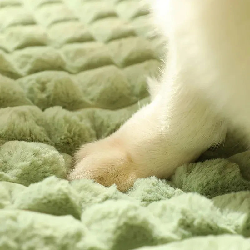 Washable dog mat with detachable cover in coffee colour, shown in XXL size for large dogs.