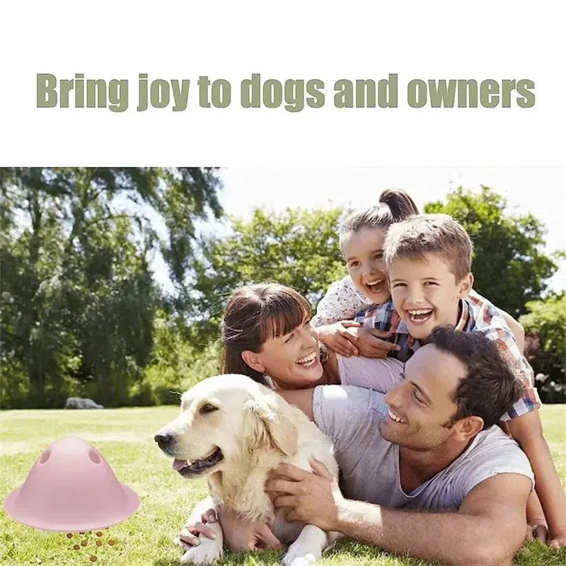 Four-piece interactive dog puzzle toy set with hidden treat compartments for big dogs
