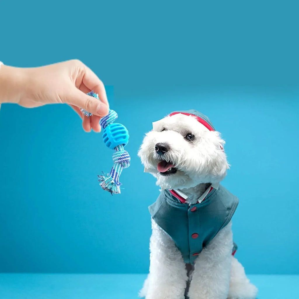 Blue dog molar chew toy with white cotton rope ends for dental cleaning and interactive play