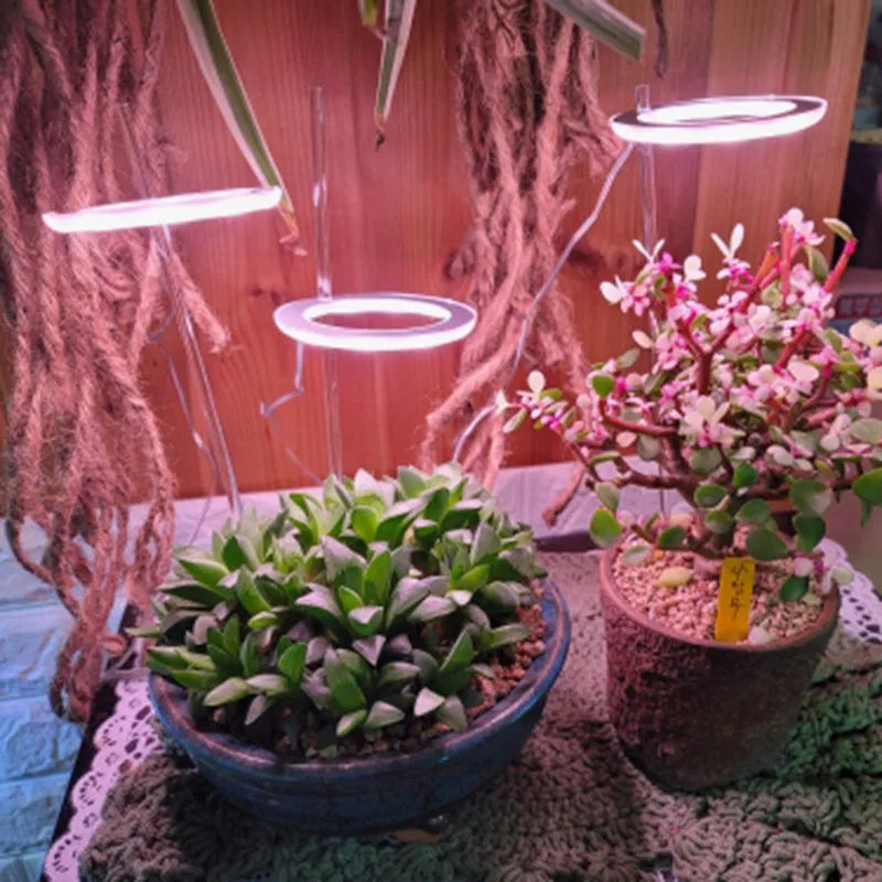 USB Angel Ring LED full spectrum grow light for indoor plants on a desk.