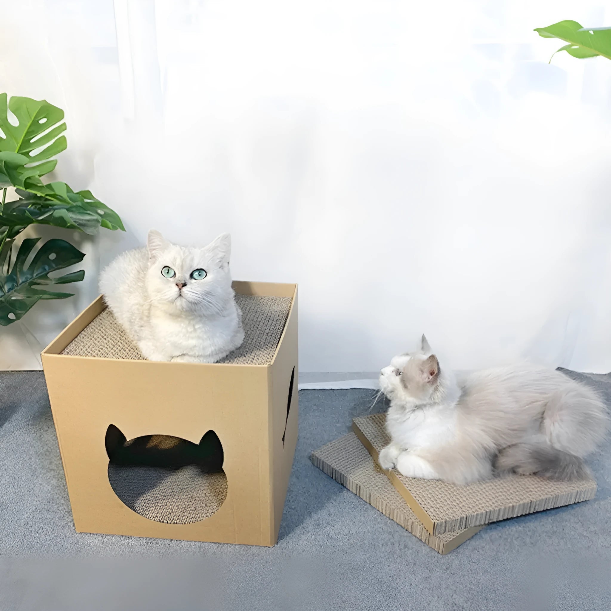 Vertical cat scratch board with corrugated paper surface and pet milk carton design