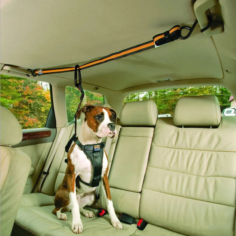 Orange nylon pet safety belt dual-purpose car lanyard with clip, for small to medium dogs