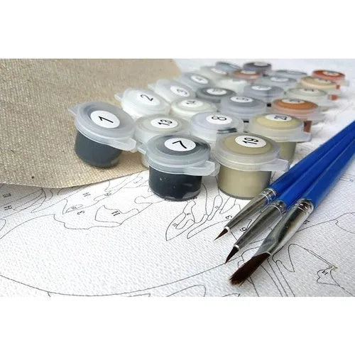 Scared Or Surprised Cat design DIY painting by numbers kit with acrylic paints and brushes