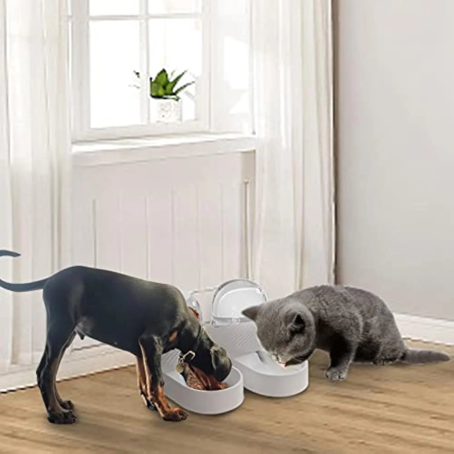 White automatic cat feeder and water dispenser set with wave-shaped design