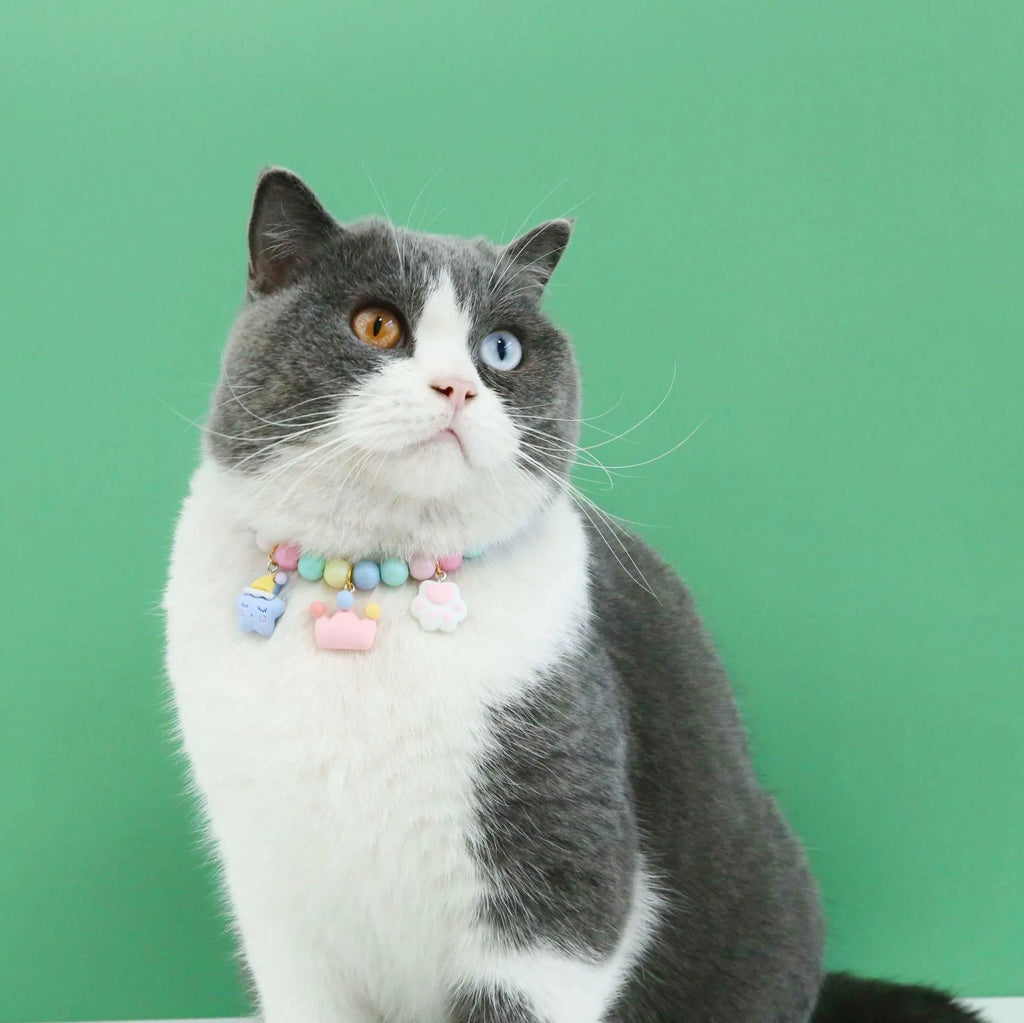 Colourful resin pearl collar and bracelet set for a small dog, shown in a macaron colour option.