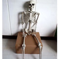 Life-size 170cm plastic skeleton prop with detailed skull and anatomical features