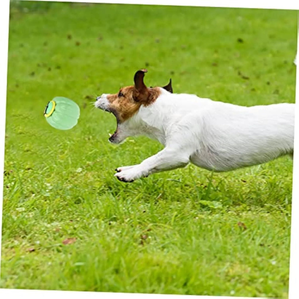 Pumpkin-shaped plastic dog chew toy with squeaker for small dogs in green, orange, yellow