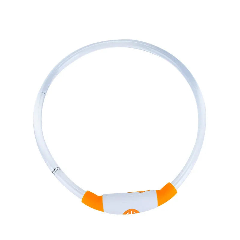 Blue USB rechargeable LED dog safety collar glowing with adjustable 70cm TPU band
