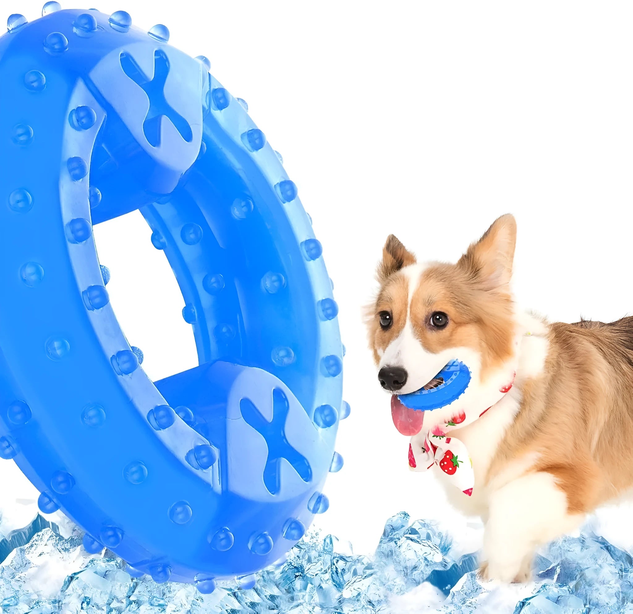 A freezable bone-shaped dog chew toy designed for cooling, teething, and dental care.