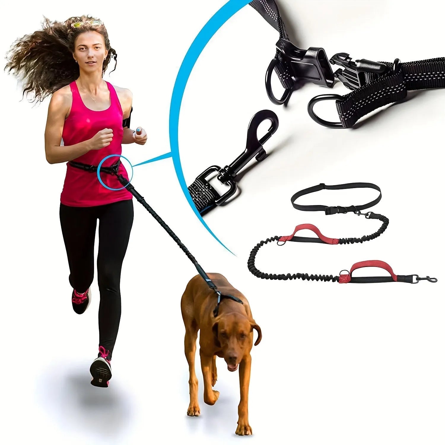 Hands-free dog leash with adjustable waist belt in durable nylon material for running and walking with dogs