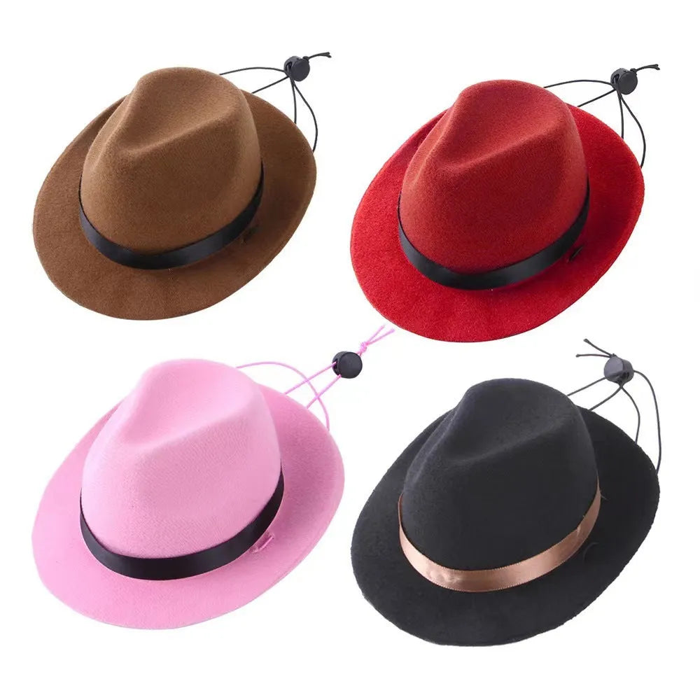 S size 15.5cm diameter wool felt mini pet hat for small dogs and cats in choice of colours