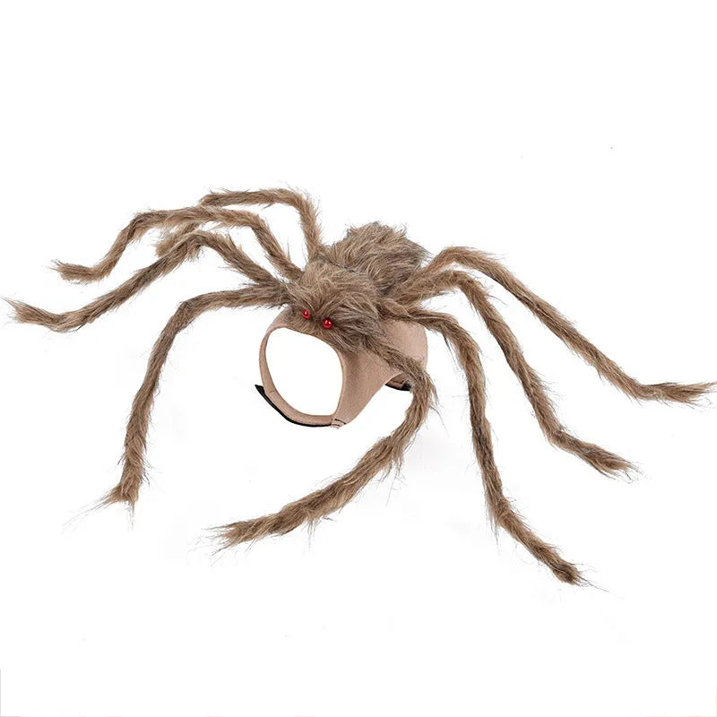 Halloween spider costume for pets on dog showing black and purple spider design