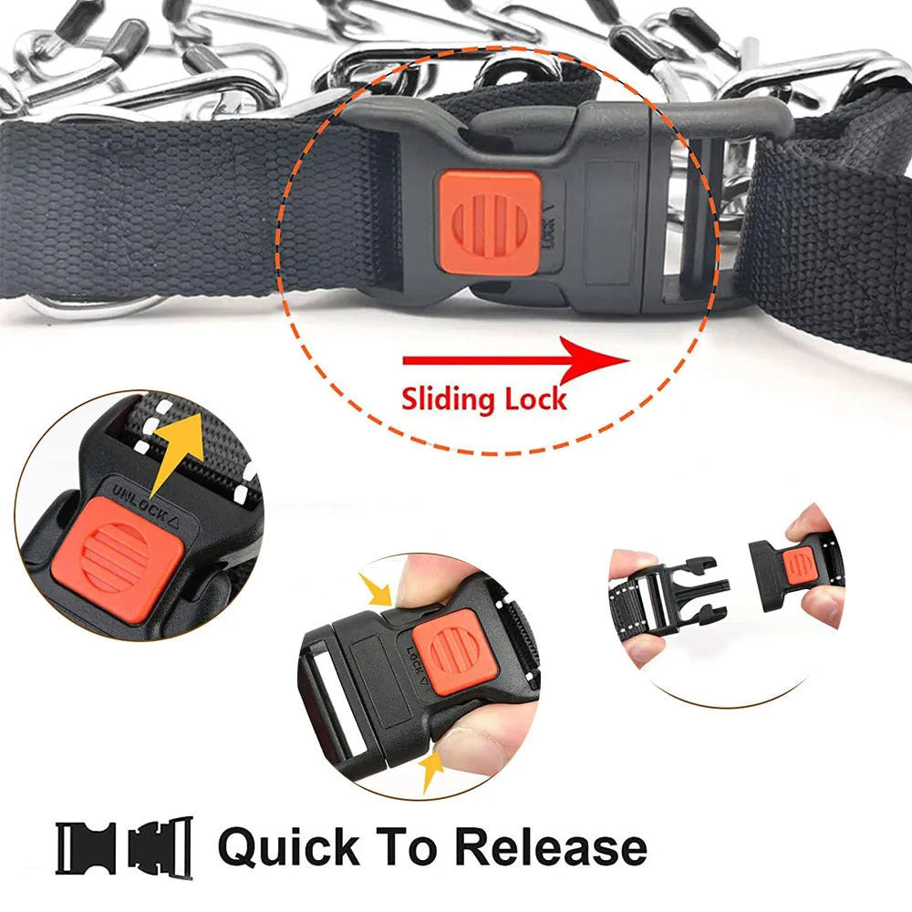 Dog training stimulation chain collar with stainless steel prongs on a padded nylon band.