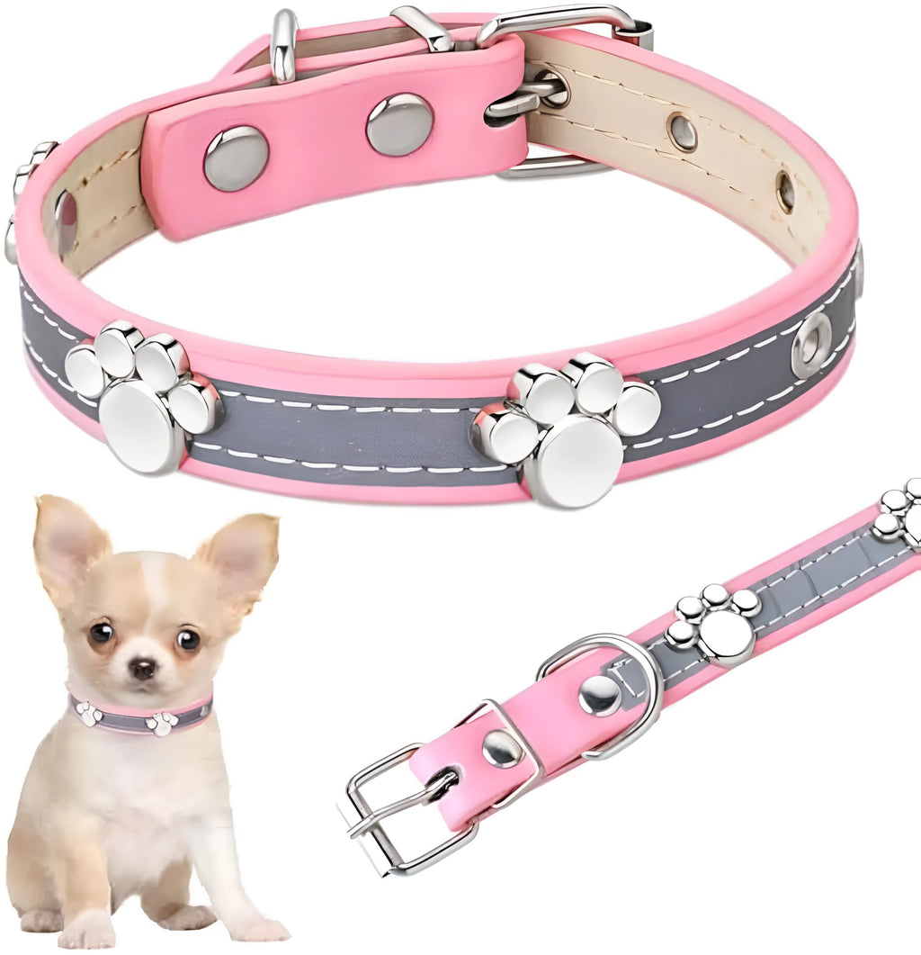 Reflective leather dog collar with metal paw rivet and buckle on a grey background